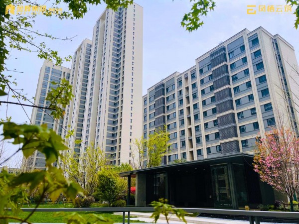 1683608810248825.jpg 圖片5.JPG